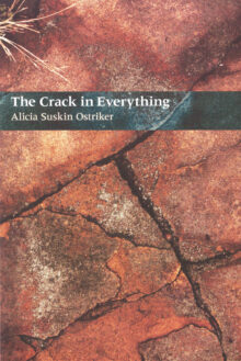 The Crack In Everything