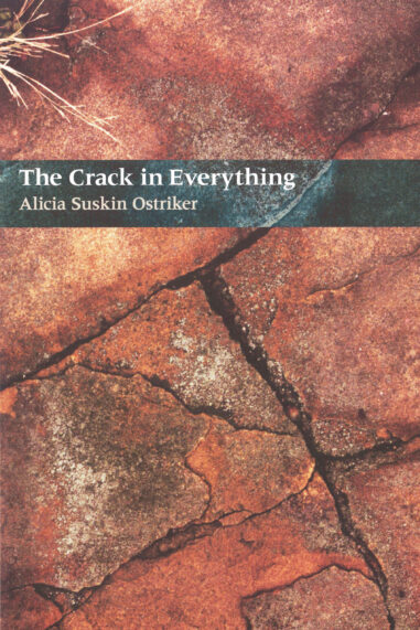 The Crack In Everything