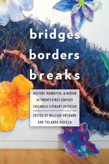 Bridges, Borders, and Breaks