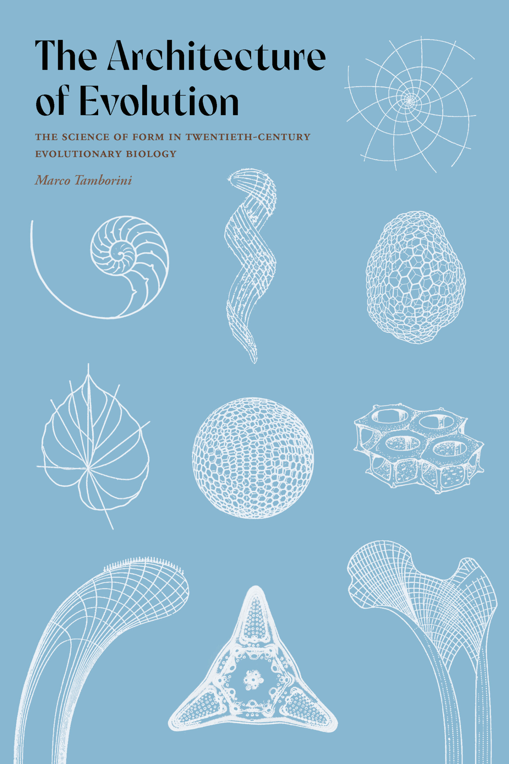 The Architecture of Evolution - University of Pittsburgh Press
