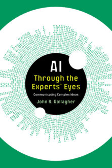 AI Through the Experts’ Eyes