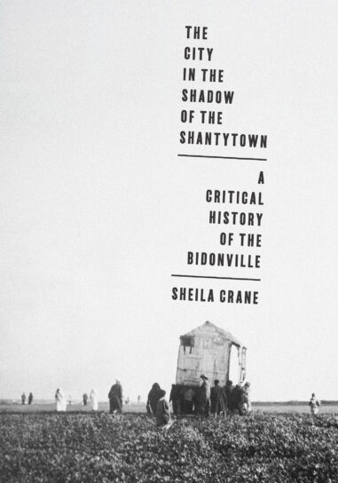 The City in the Shadow of the Shantytown